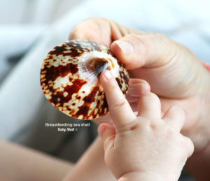 breastfeeding sea shell