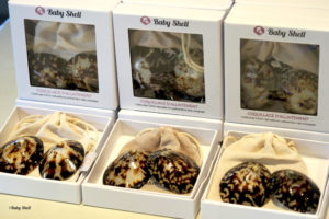 Boite BABY SHELL - coquillage d'allaitement en pharmacie