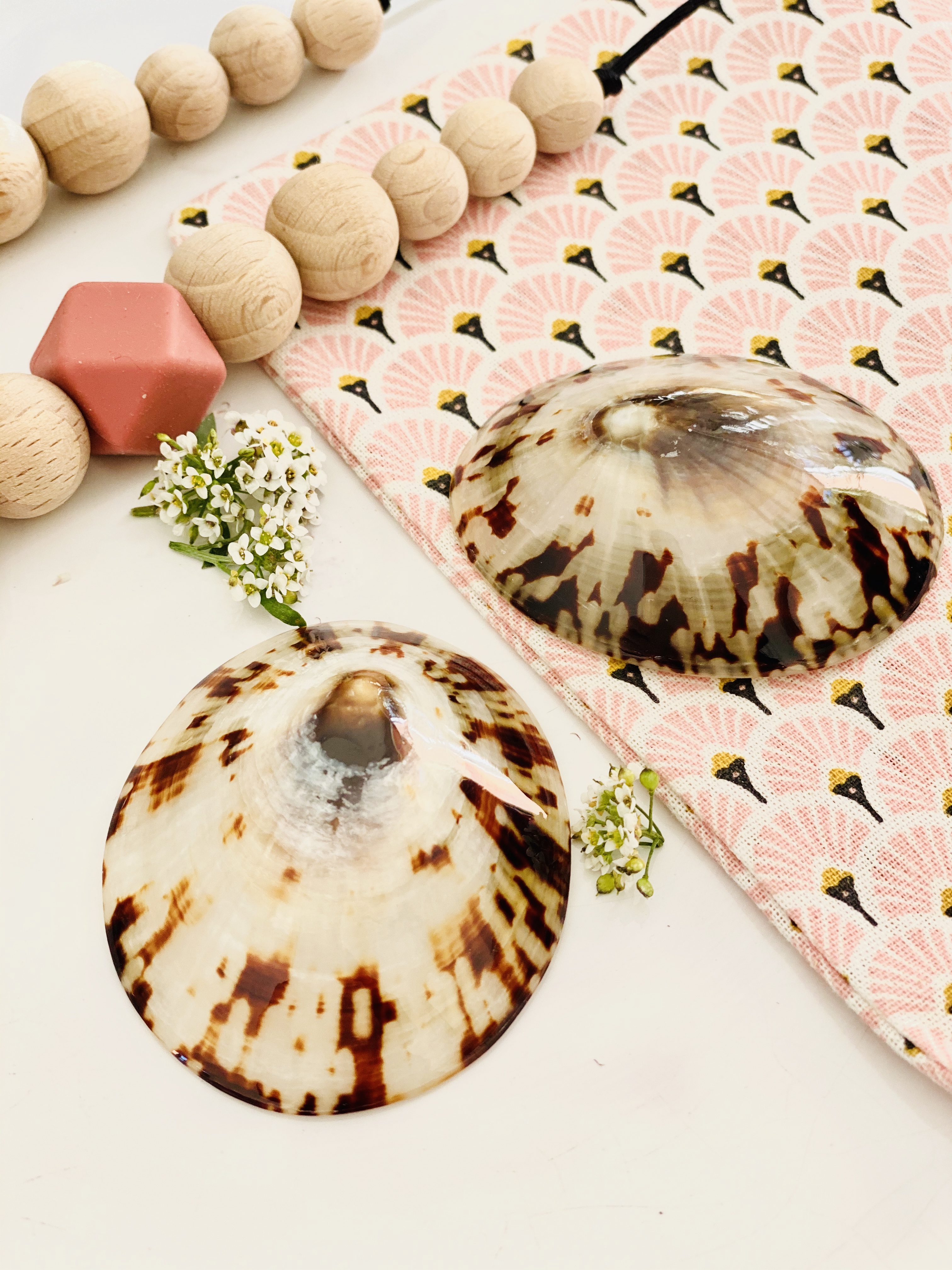 BREASTFEEDING SHELLS The BABY SHELL take care of your nipples