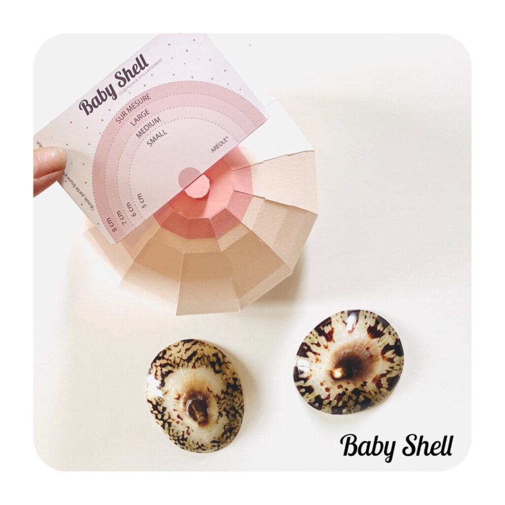 Coquillages d'Allaitement : Tout ce qu'il Faut Savoir - Baby Shell