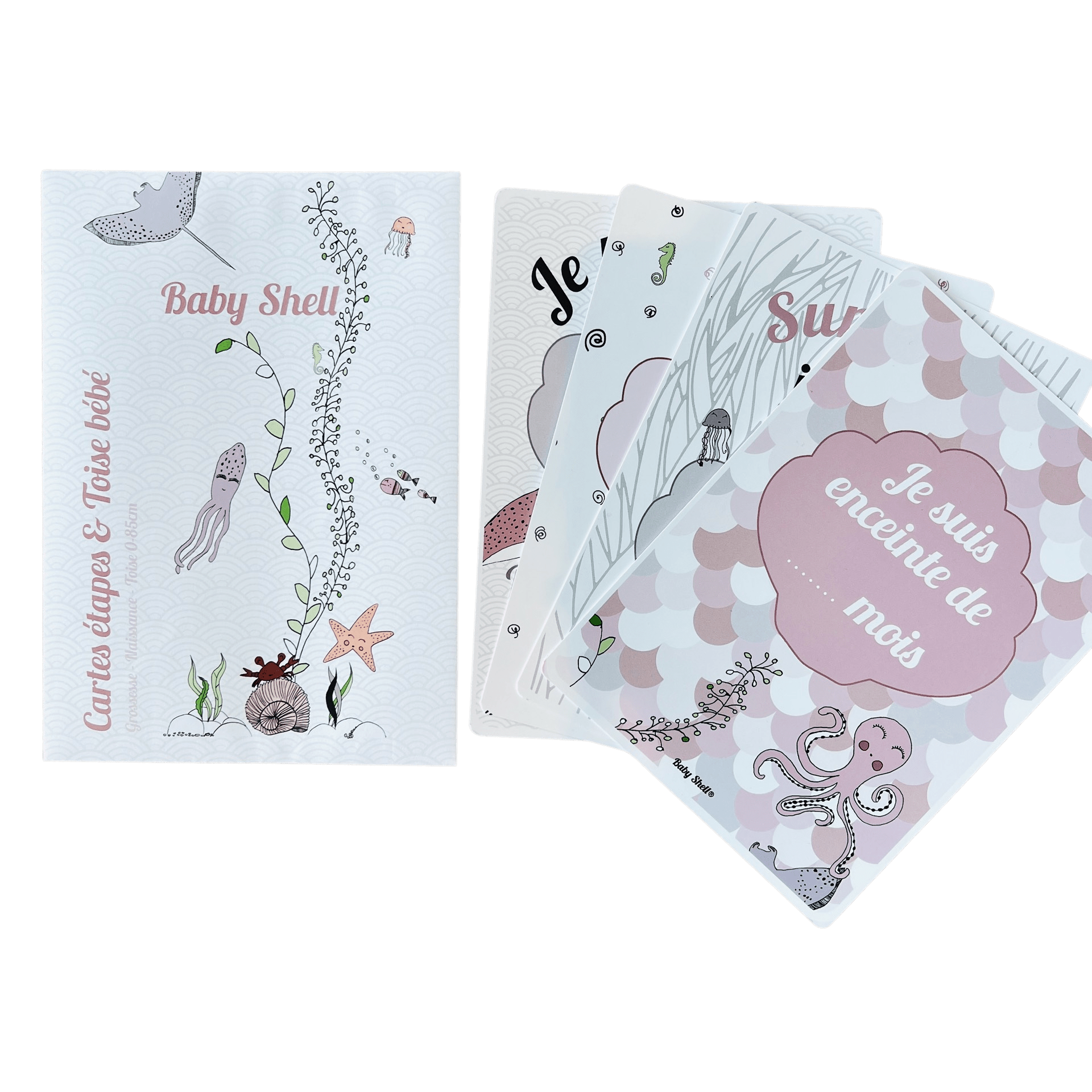 CARTES ÉTAPES + TOISE BB – Image 4